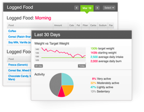 Fitbit Screens