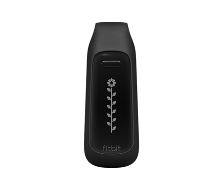 What is a Fitbit base station?